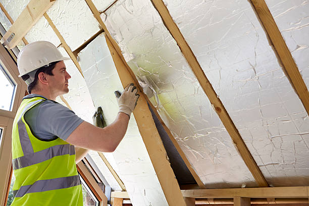 Best Residential Insulation in Lake Shore, MD